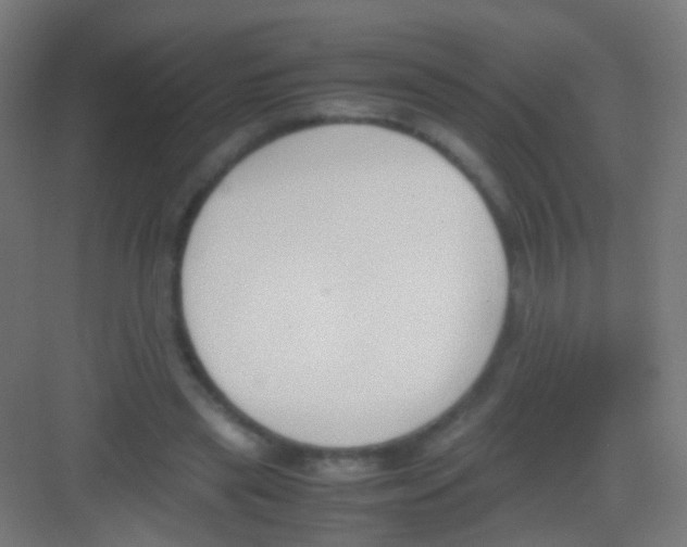 X0000081370445200702082350