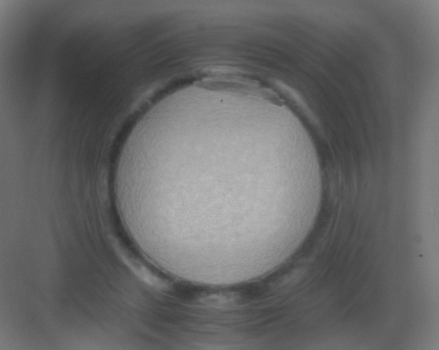 X0000081370447200702082350