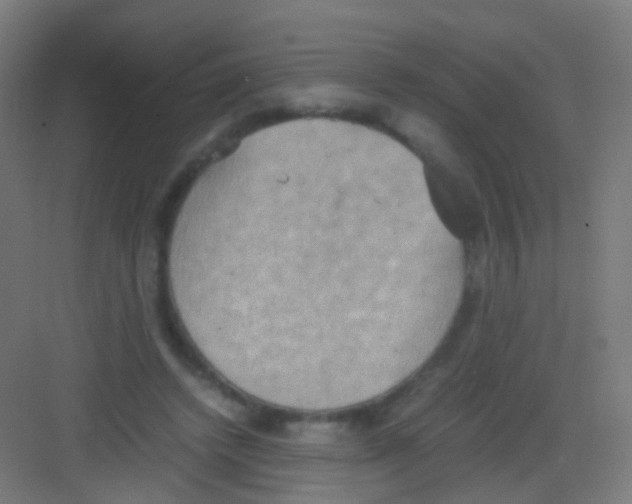 X0000081370448200702082350