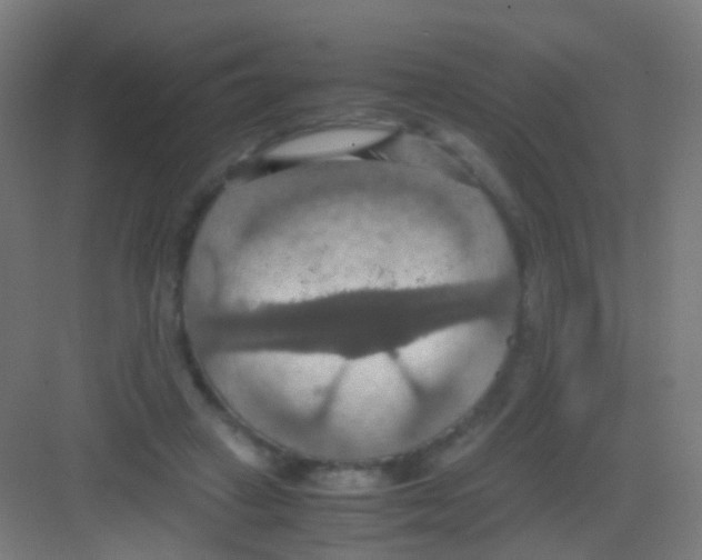 X0000081370449200702082350