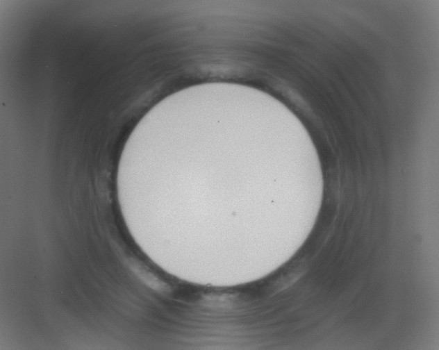 X0000081370450200702082350