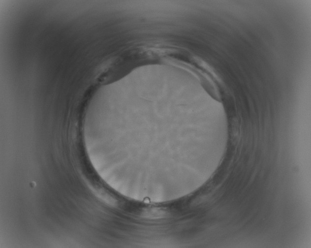 X0000081370451200702082350