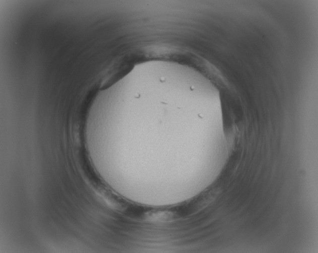 X0000081370452200702082350