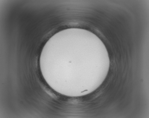 X0000081370454200702082350