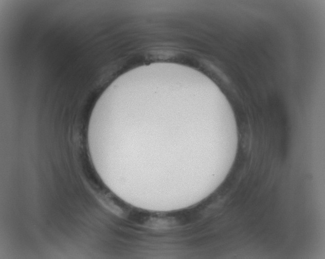 X0000081370455200702082350