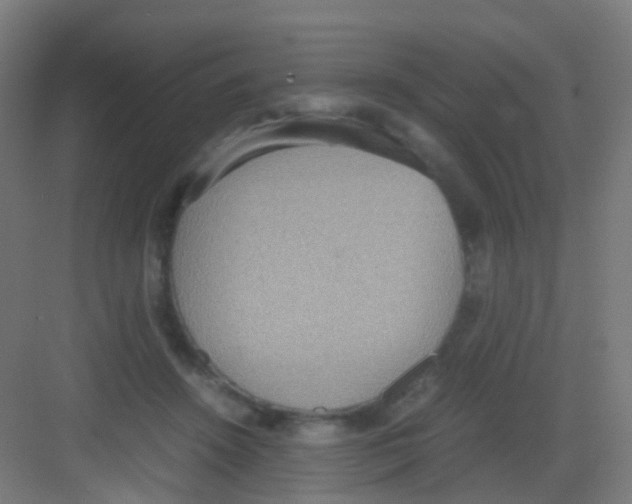 X0000081370456200702082350