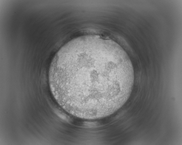 X0000081370457200702082350