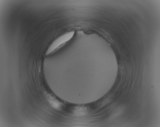 X0000081370458200702082350