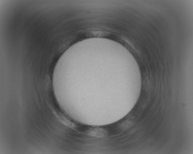 X0000081370459200702082350