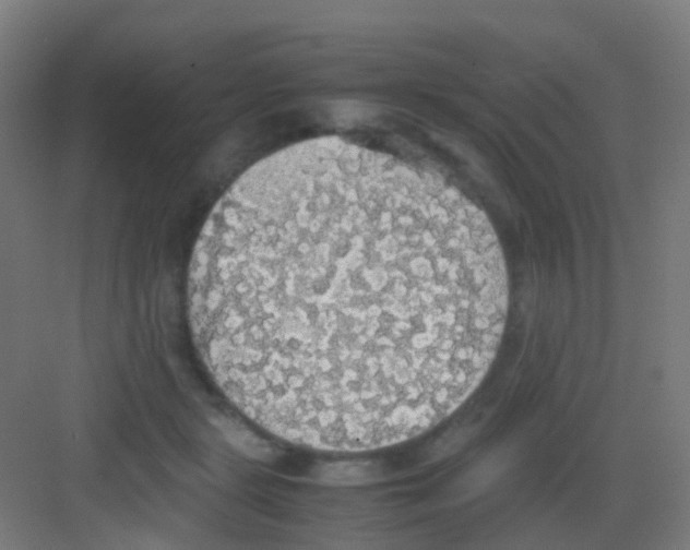 X0000081370461200702082350