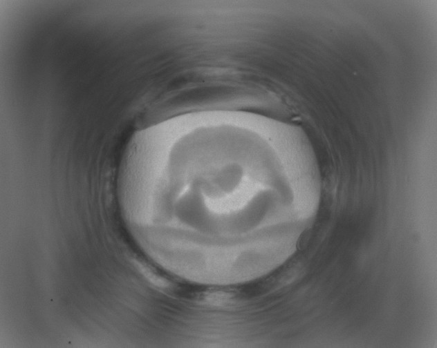 X0000081370462200702082350