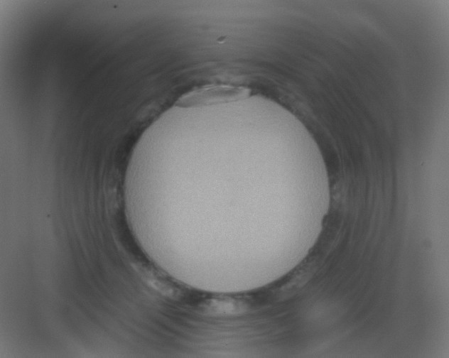 X0000081370464200702082351