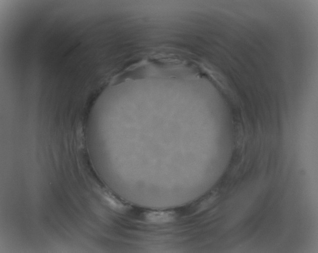 X0000081370465200702082351