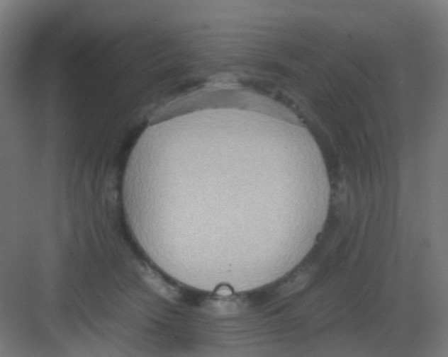 X0000081370466200702082351