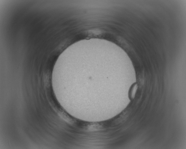 X0000081370468200702082351