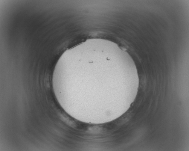 X0000081370470200702082351