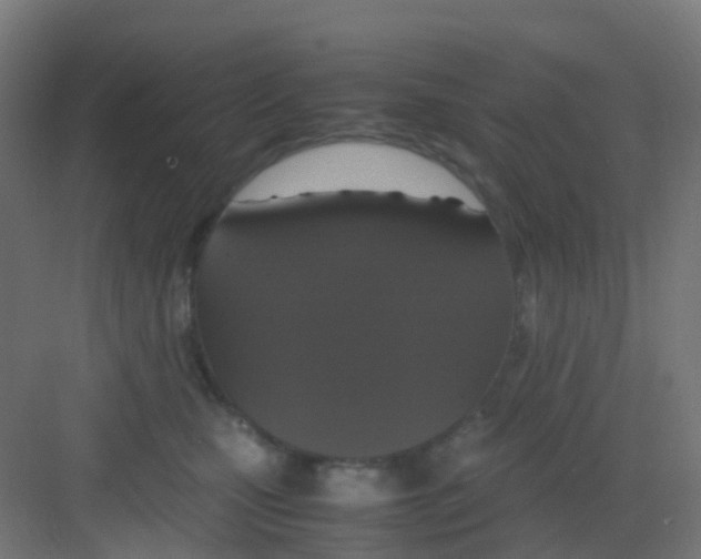 X0000081370471200702082351