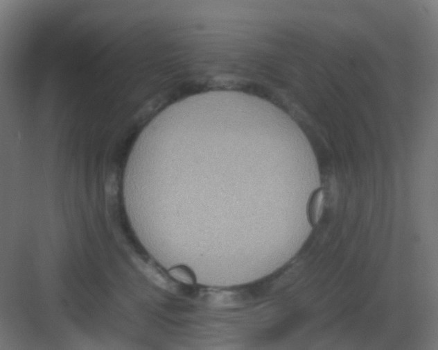 X0000081370472200702082351