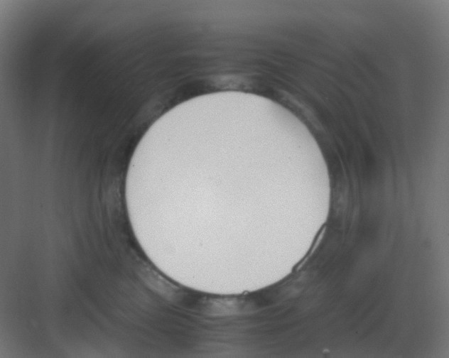 X0000081370473200702082351