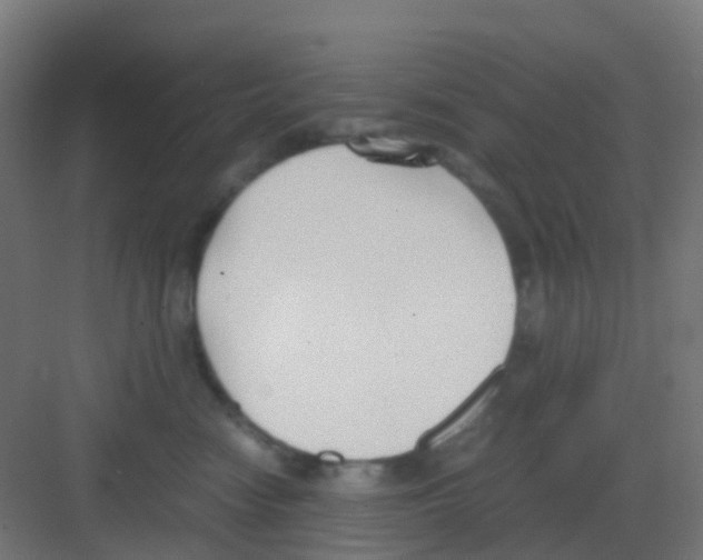 X0000081370474200702082351