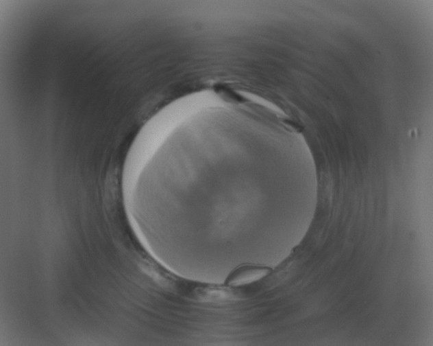 X0000081370475200702082351