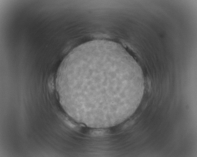 X0000081370479200702082351