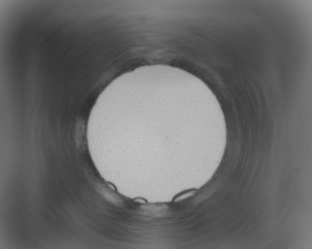 X0000081370480200702082351