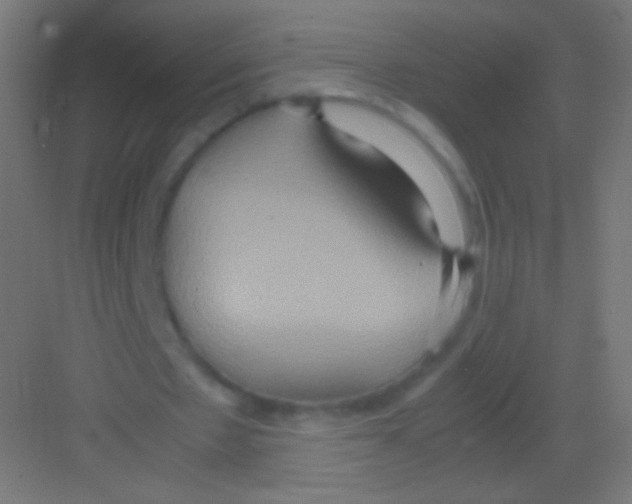 X0000081370481200702082350