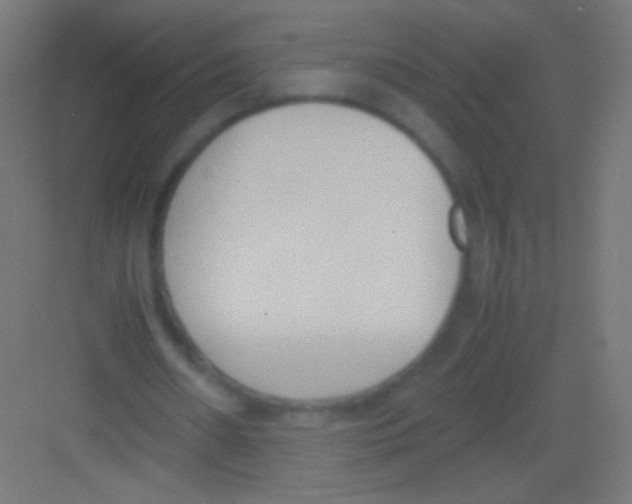 X0000081370482200702082350