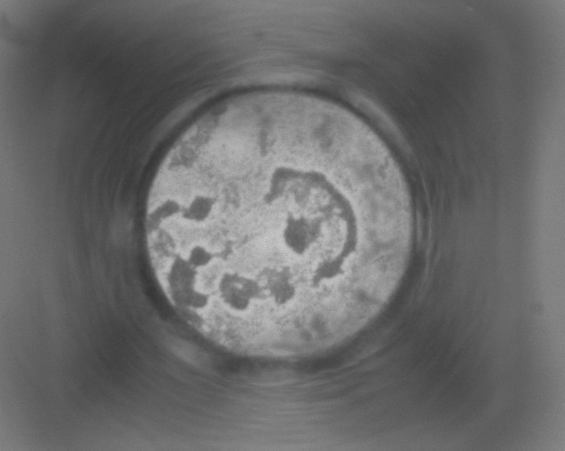 X0000081370483200702082350