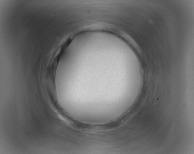 X0000081370485200702082350