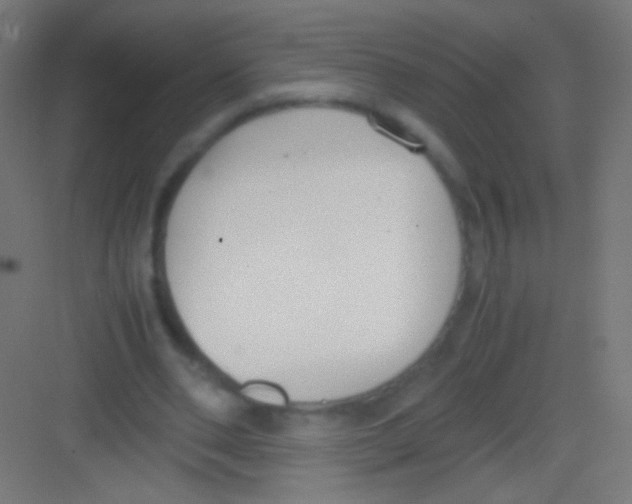 X0000081370486200702082350