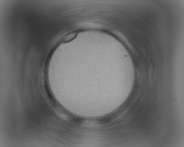 X0000081370487200702082350