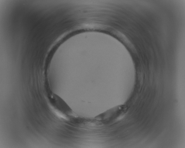 X0000081370488200702082350