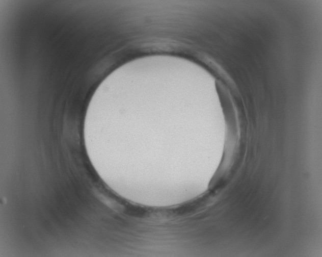 X0000081370489200702082350