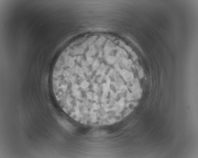 X0000081370491200702082350