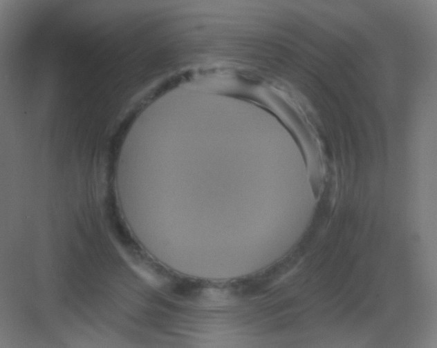 X0000081370496200702082350