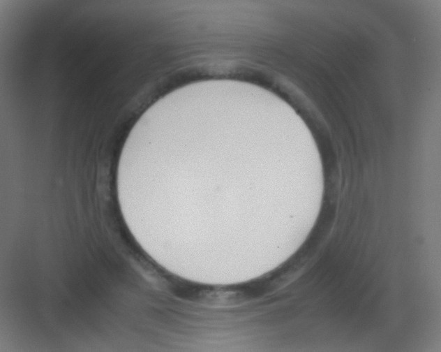 X0000081370497200702082350