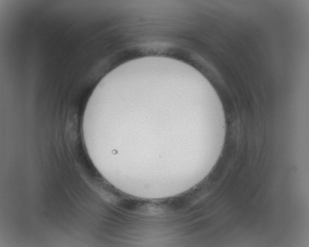 X0000081370498200702082350