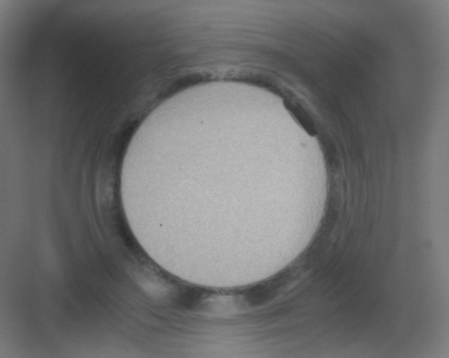 X0000081370499200702082350