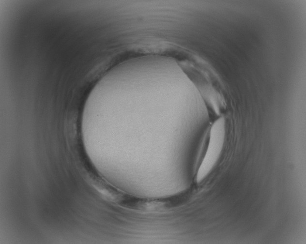 X0000081370501200702082350