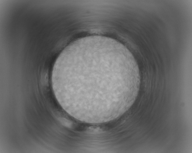 X0000081370502200702082350