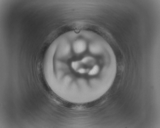 X0000081370503200702082350