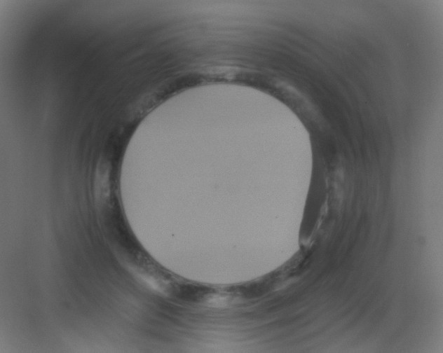 X0000081370504200702082350