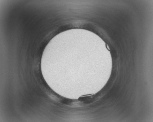 X0000081370505200702082350