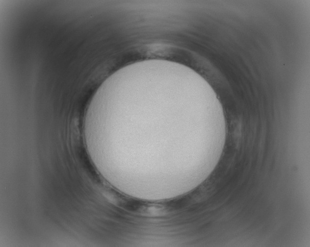 X0000081370506200702082350