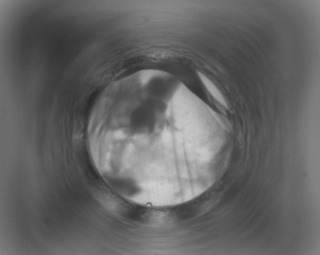 X0000081370507200702082350