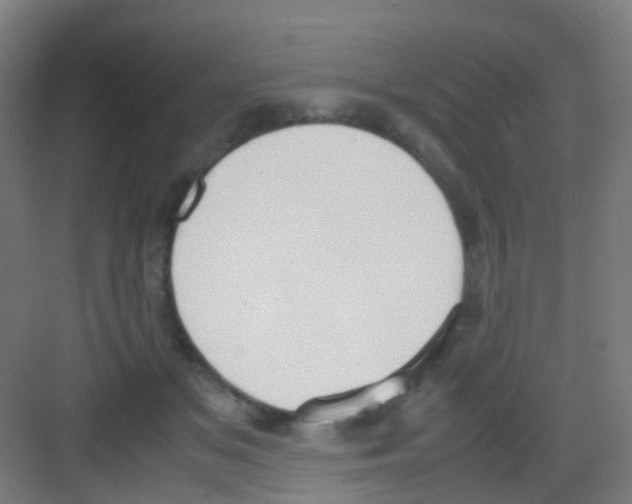 X0000081370509200702082350