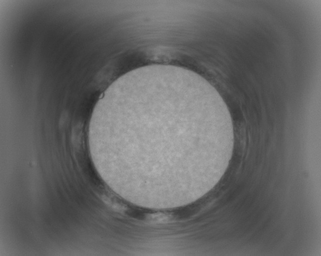 X0000081370511200702082349