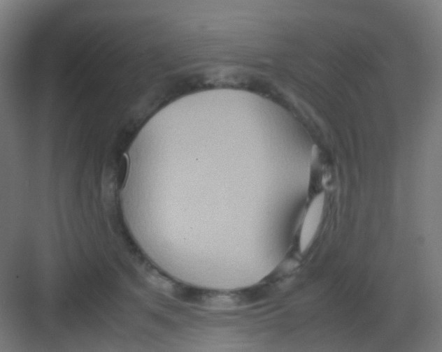 X0000081370513200702082349